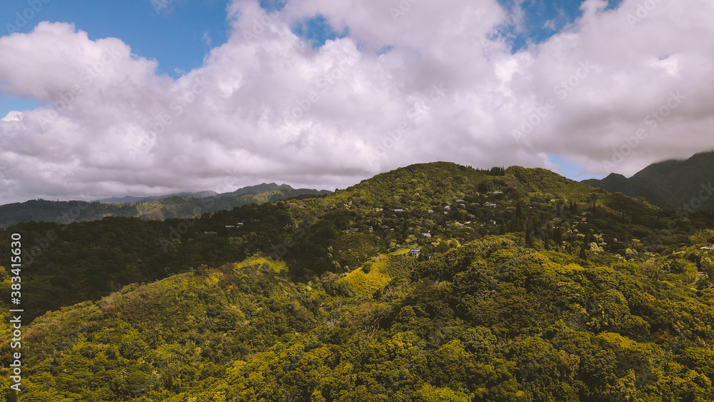 Aerial City of Honolulu, House in the forest, Oahu, Hawaii