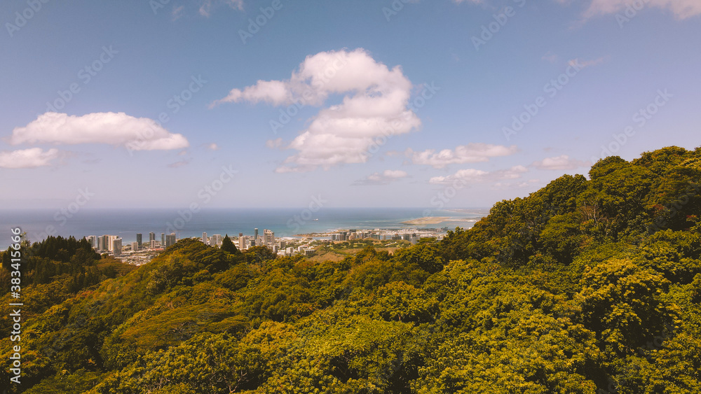 Obraz premium Aerial City of Honolulu, House in the forest, Oahu, Hawaii