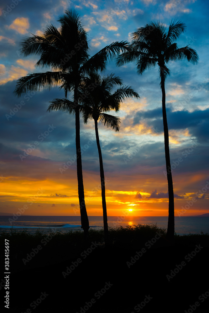 Hawaiian palm trees at sunset