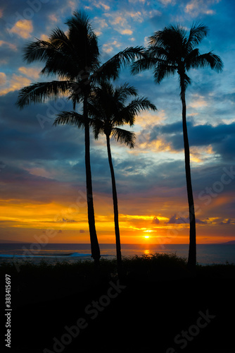 Hawaiian palm trees at sunset