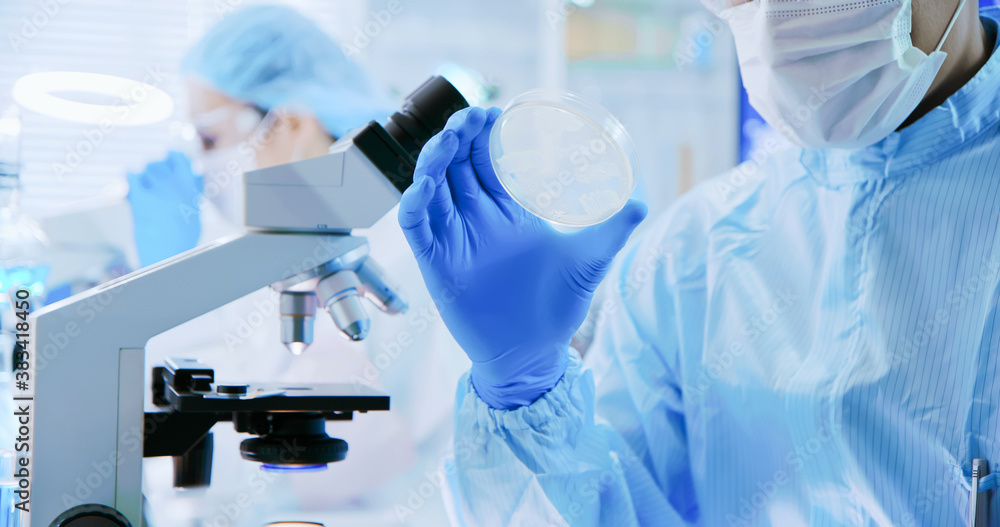 Fototapeta premium Asian scientist take petri dish