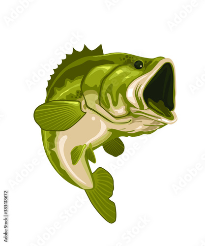 green bass fish realistic cartoon