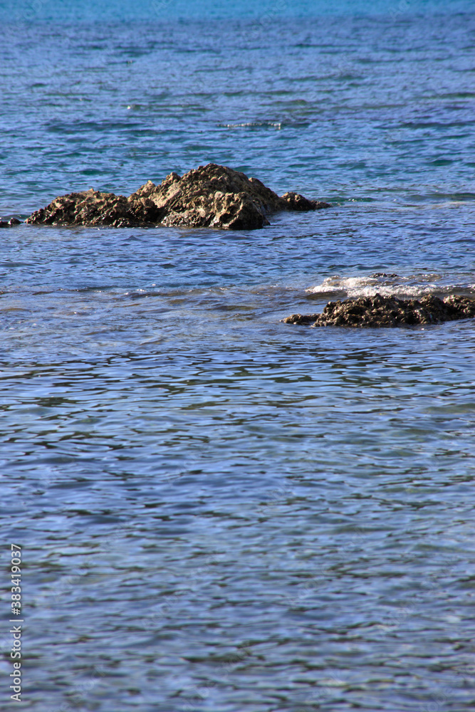 Fototapeta premium 屋久島の海