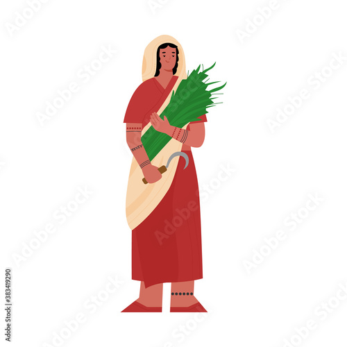 Indian farmer or peasant woman in traditional clothes cartoon character, flat vector illustration isolated on white background. indian harvest picker female character.