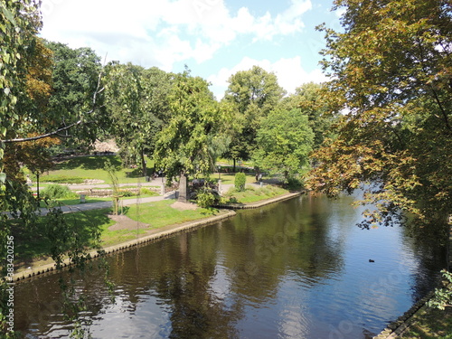 lake in the park