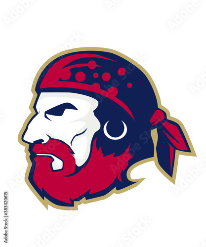 pirates skull mascot cartoon in vector
