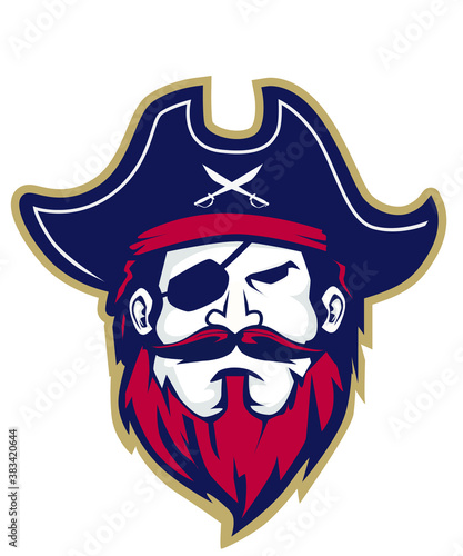 Valokuva pirates skull mascot cartoon in vector
