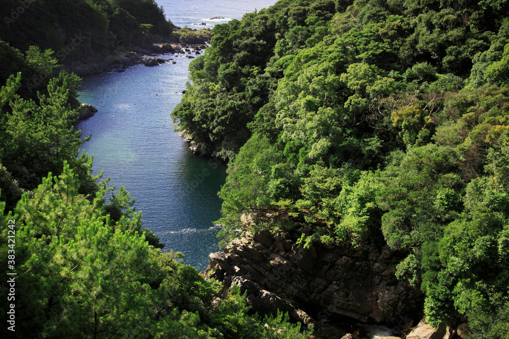 屋久島の川 屋久島の川