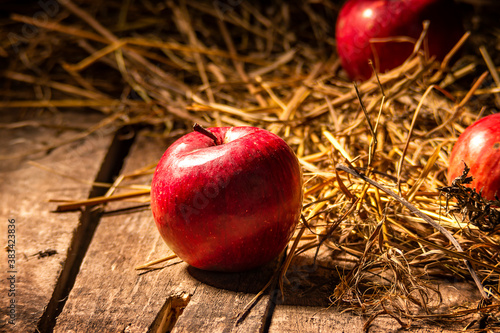 apples on a wooden floor on a straw mat