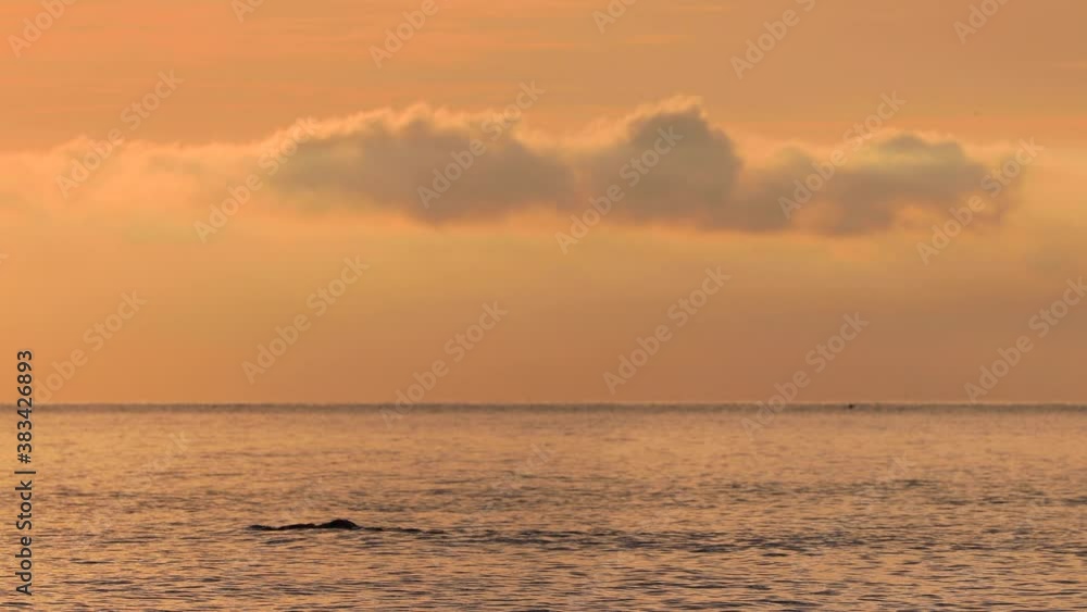 Ocean sunrise with golden burning sky clouds and man swimming in a ripple water Ocean sunrise with golden burning sky clouds and man swimming in a ripple water
