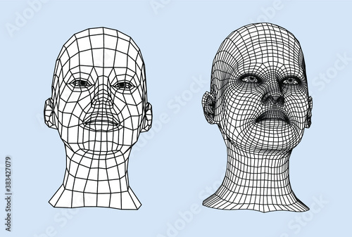 Low poly 3D head, human face structure made of grid. Biometrics, Facial Recognition and Cyber Security concept.