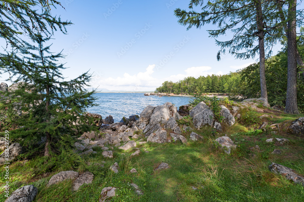 Coniferous trees against the backdrop of turquoise water and blue sky. Rocky eastern coast of Lake Baikal in summer. Republic of Buryatia, Russia. Coniferous trees against the backdrop of turquoise water and blue sky. Rocky eastern coast of Lake Baikal in summer. Republic of Buryatia, Russia.