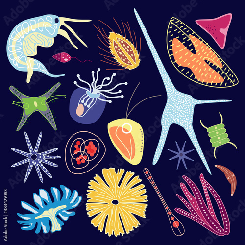 Microscopic plankton under microscope a flat cartoon vector illustration