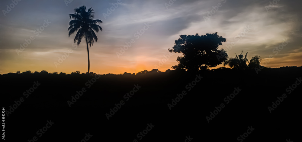 Sunset in Kerala. Clam cloudy and Orange moody sky , beautiful view of coconut tree during sunset