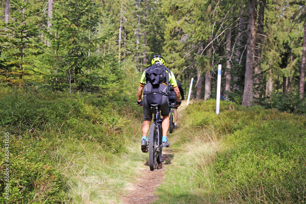 Mountainbiker im Böhmerwald, Tschechien Mountainbiker im Böhmerwald, Tschechien