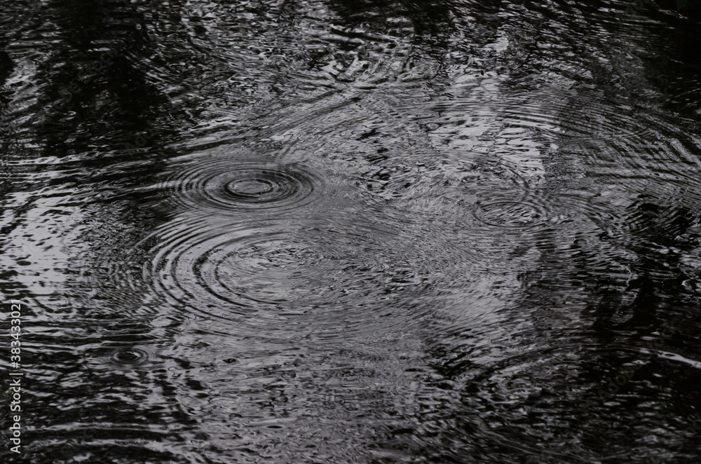 RAIN - Traces of falling drops on the water RAIN - Traces of falling drops on the water