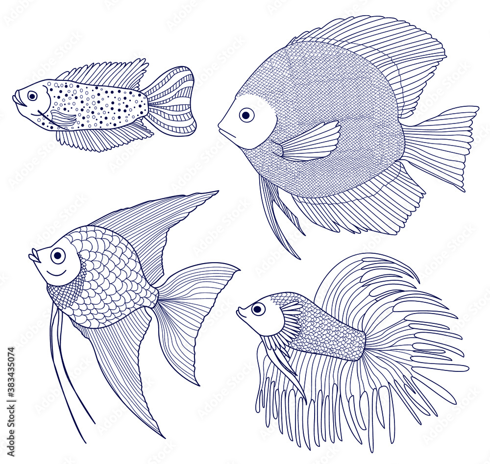 Set of 4 species of fish. Dwarf gourami, Scalar, Discus, Fish Cockerel