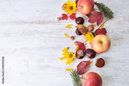 red apples, brown, yellow flowers with leaves in autumnal still life on white...