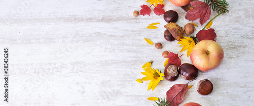 Fotografie red apples, brown, yellow flowers with leaves in autumnal still life on white ba