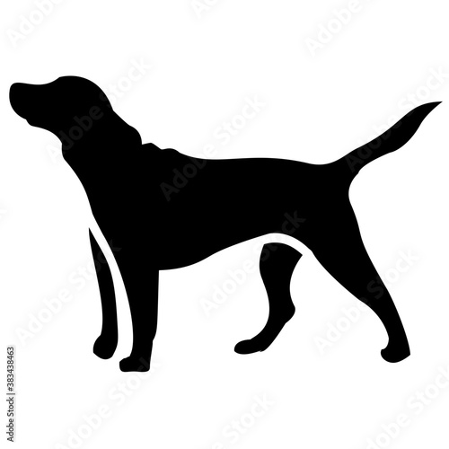 
Pet animal dog icon
