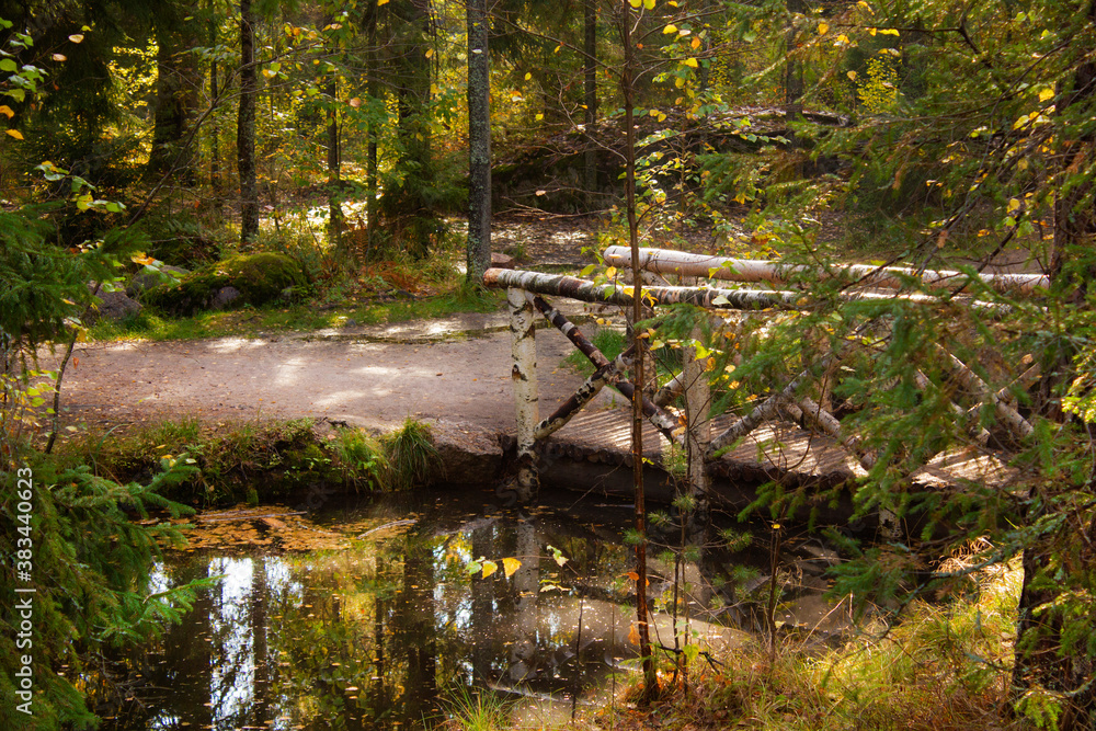 White birch bridge over a dark forest lake surrounded by autumn trees White birch bridge over a dark forest lake surrounded by autumn trees