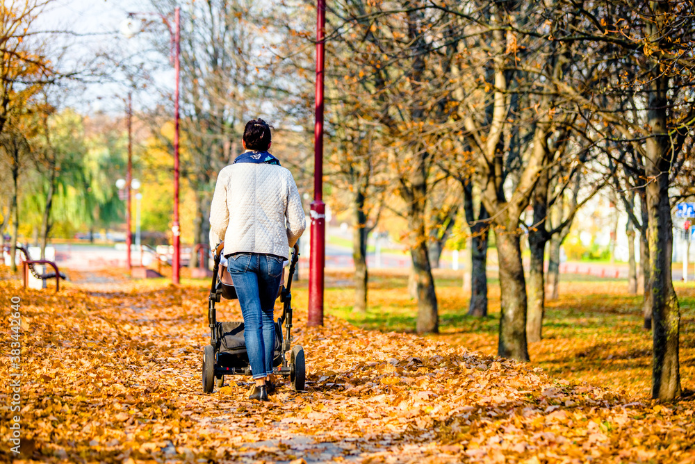 Mother wheeling a pram in the Park Mother wheeling a pram in the Park