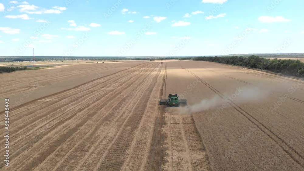 Bird view of big green combine harvester collect wheat grains on the field. Drone moving overhead agricultural machinery gathering ripe grains on the golden farmland Bird view of big green combine harvester collect wheat grains on the field. Drone moving overhead agricultural machinery gathering ripe grains on the golden farmland