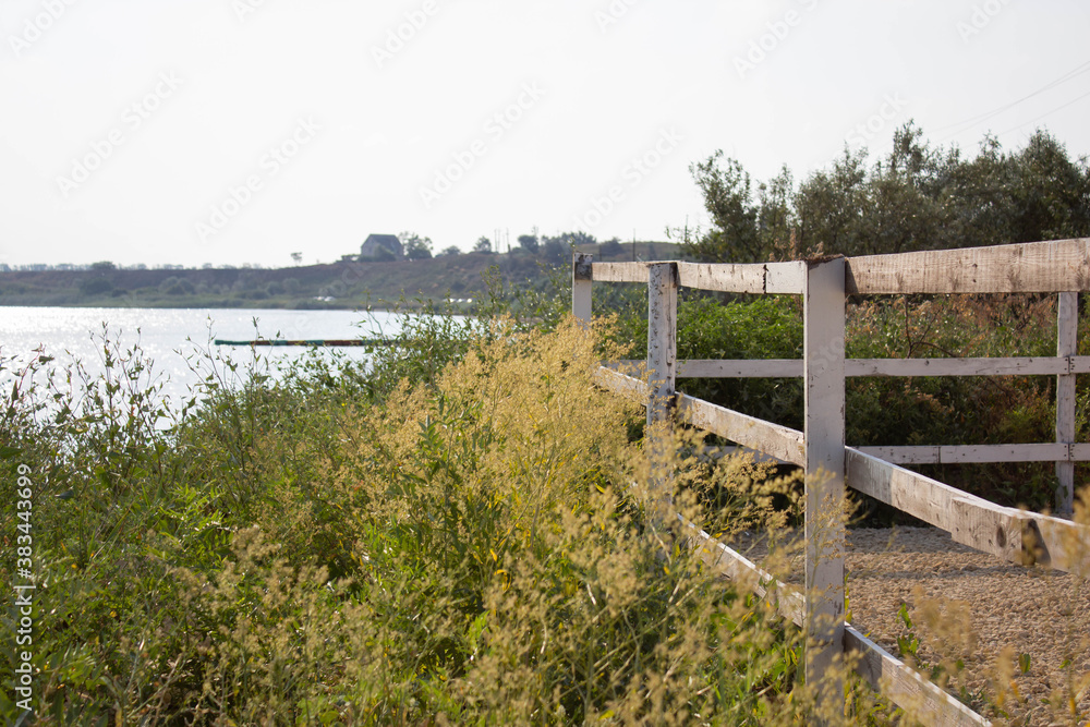 Green blurred bushes on the shore of Sunny lake against the background of a white wooden fence nature protection Concept