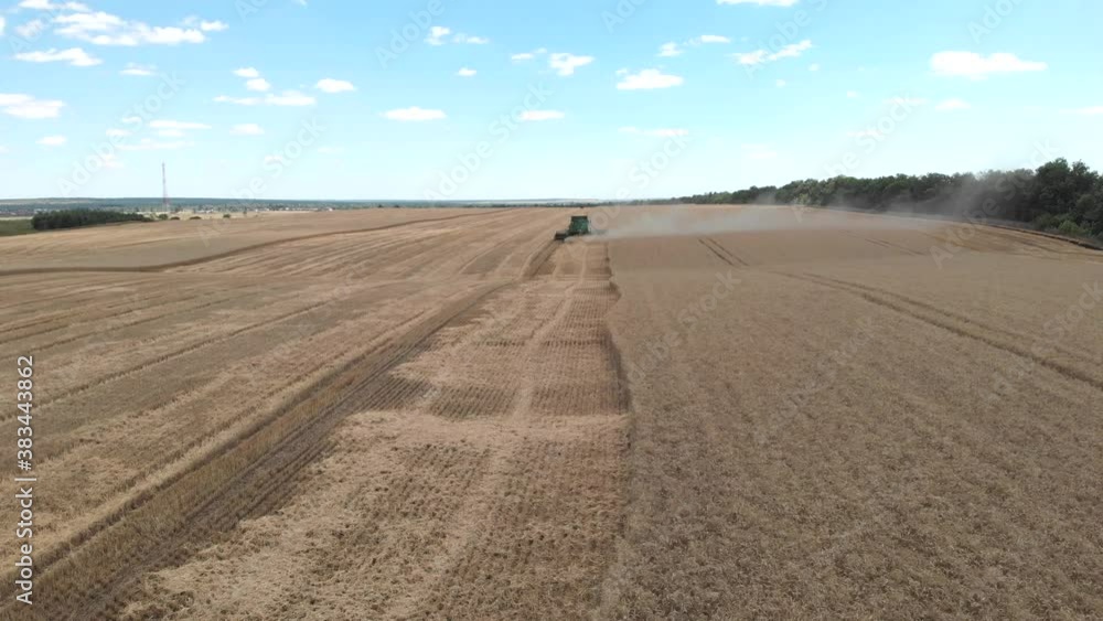 Panoramic view of chamfered golden wheat fields with blue sky and clouds. Drone flying directly above farmland and open epic aerial view of Agriculture scene 4k Panoramic view of chamfered golden wheat fields with blue sky and clouds. Drone flying directly above farmland and open epic aerial view of Agriculture scene 4k