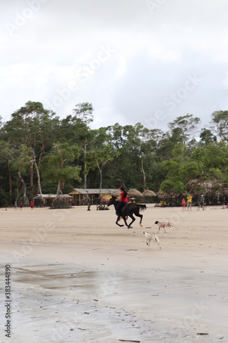 horse riding on the beach