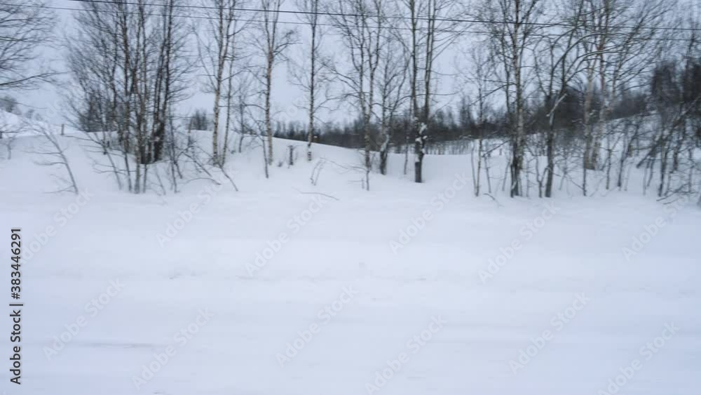 car on a snow covered slippery road during the hard snowfall
car on a snow covered slippery road during the hard snowfall