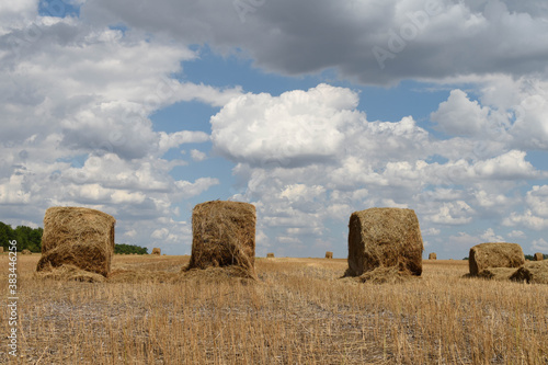 Several stacks of hay on blue sky background © Юлия Рябкова