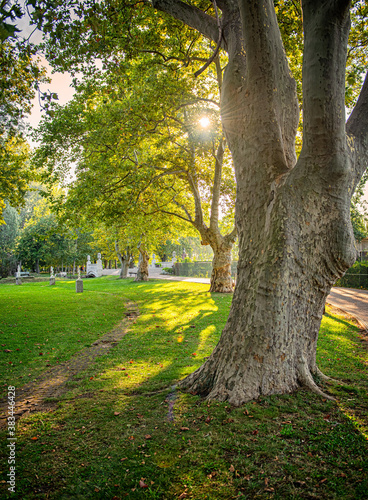 City park in the morning
