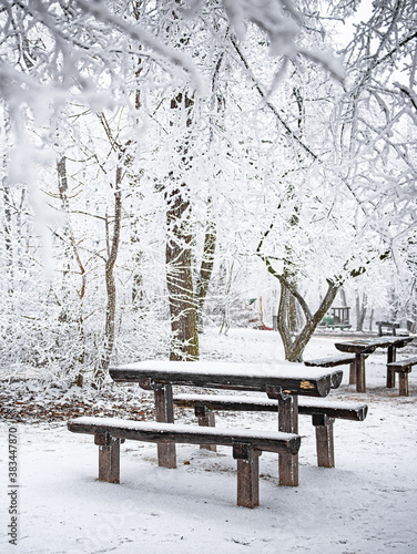 Bench in winter in the forest