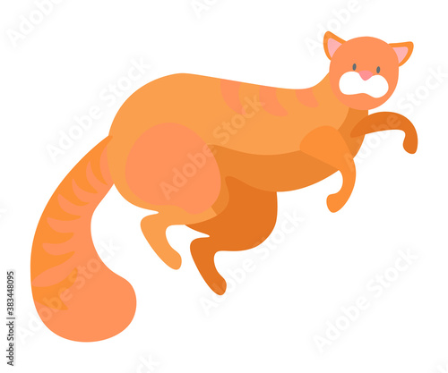 Cat lying on floor isolated cute pet animal with long tail and whiskers, playful curious kitten. Vector illustration kitty with straight ears, pussy cat, pet owners favorite friend of ginger color