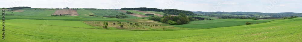 Jura krakowsko-częstochowska. Pola. Panorama.