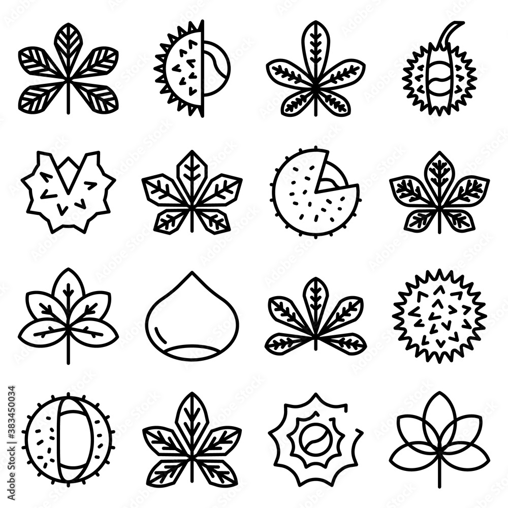 Obraz premium Chestnut icons set. Outline set of chestnut vector icons for web design isolated on white background