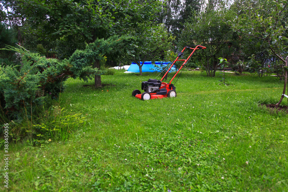 Fototapeta premium Blurred background of the home garden and lawn mower on mown grass.