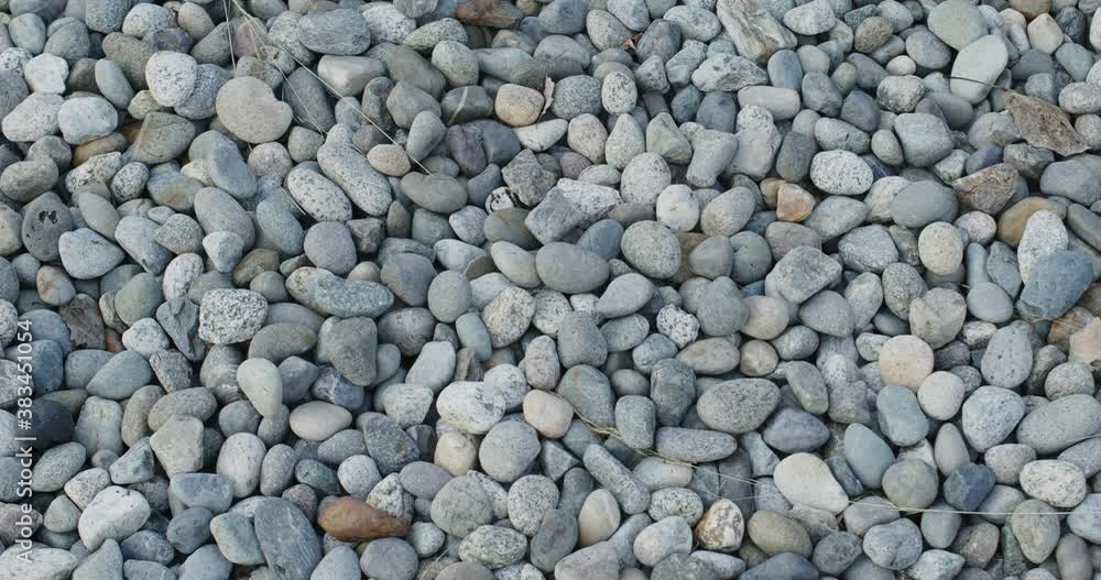 Hundreds of pebbles, rounded rocks. Hundreds of pebbles, rounded rocks.