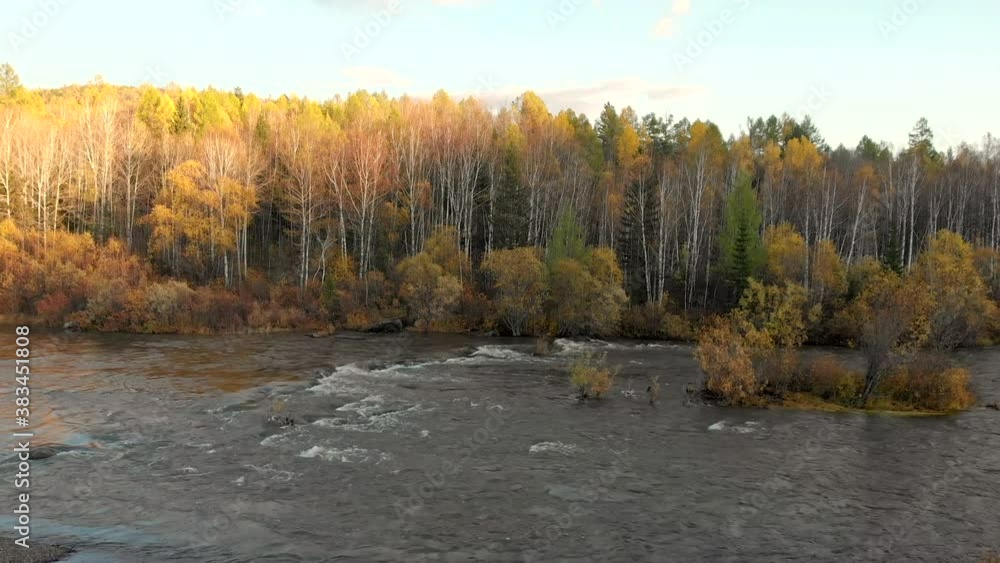Drone flying cross over a stream of mountain river and fall forest. Beautiful autumn nature landscape on sunset from top aerial view. Flow water with rapids and cascade. Drone flying cross over a stream of mountain river and fall forest. Beautiful autumn nature landscape on sunset from top aerial view. Flow water with rapids and cascade.