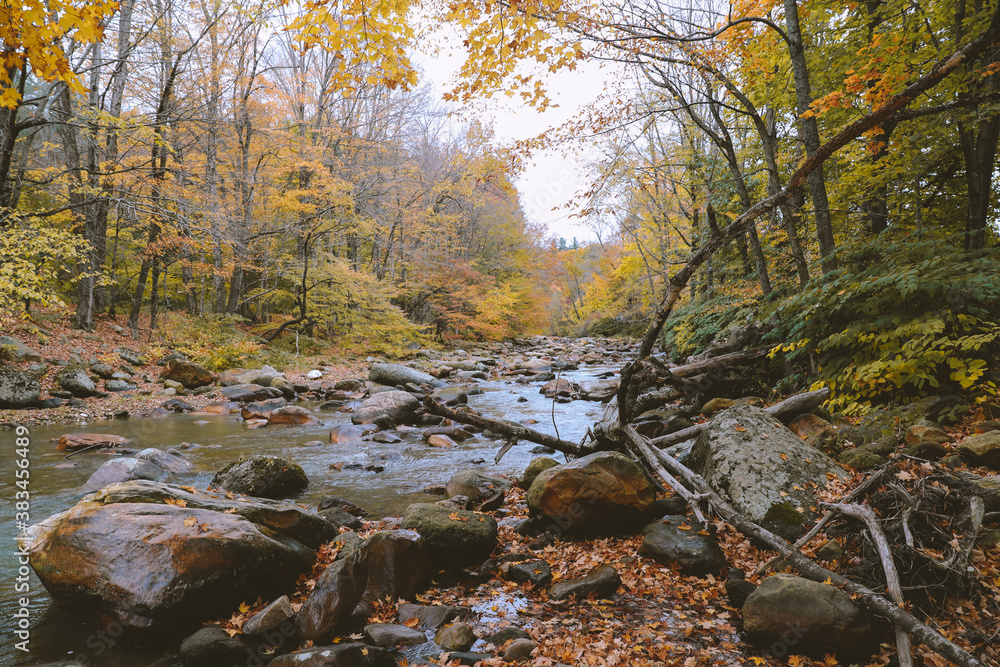 Hoosic River in autumn, Clarksburg, Massachusetts Hoosic River in autumn, Clarksburg, Massachusetts