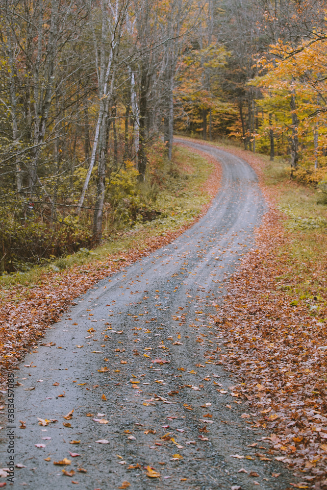 Fototapeta premium Autumn country road, Vermont