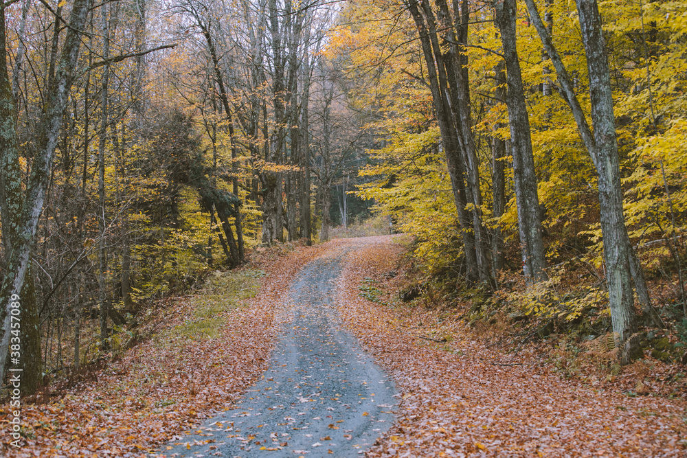 Autumn country road, Vermont Autumn country road, Vermont