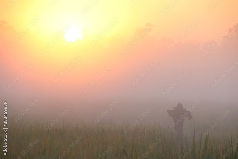 Sunrise and Fog in the morning.