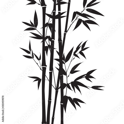 Fototapeta Naklejka Na Ścianę i Meble -  Decorative bamboo branches isolated on white background.