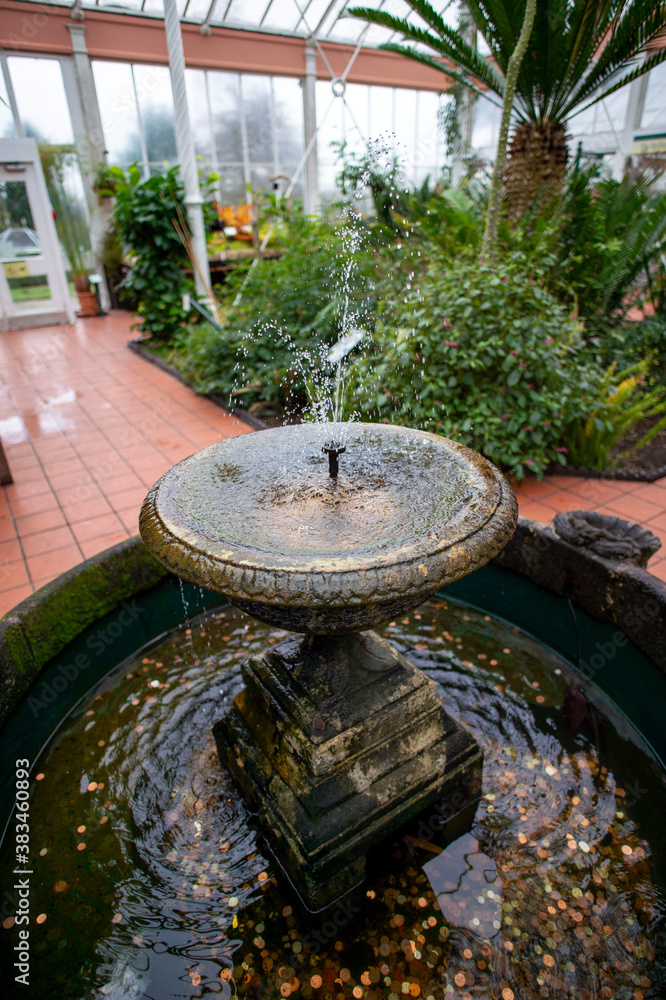 Birmingham Botanical Gardens West Midlands England UK Birmingham Botanical Gardens West Midlands England UK