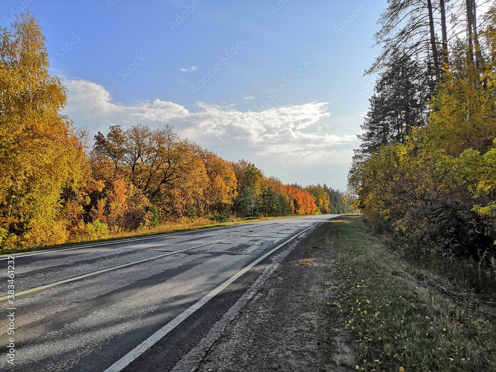 road in autumn