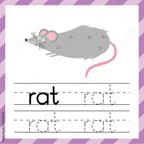 Tracing worksheet with word Rat. Learning material for kids