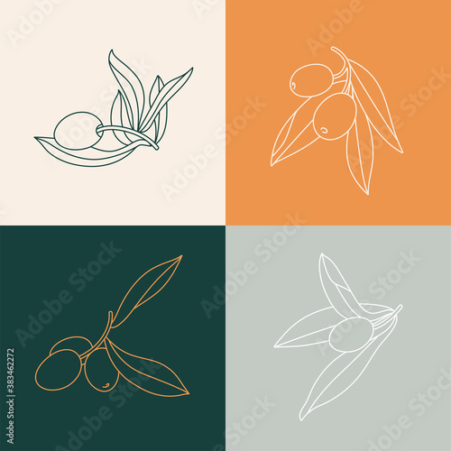 Vector set illustration olive branch - simple linear style. Olives icons.