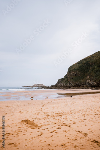 Zarautz beach in the Basque country. Landscape beach © Rafa